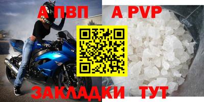 шишки Тверь