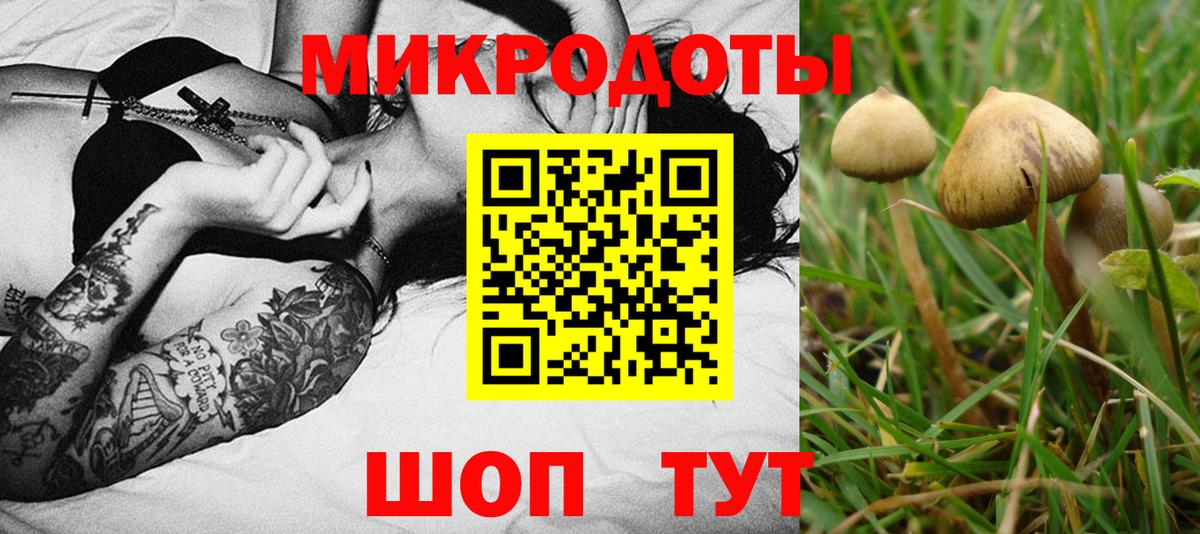 Галлюциногенные грибы GOLDEN TEACHER  Вход с VPN  Малоярославец 
