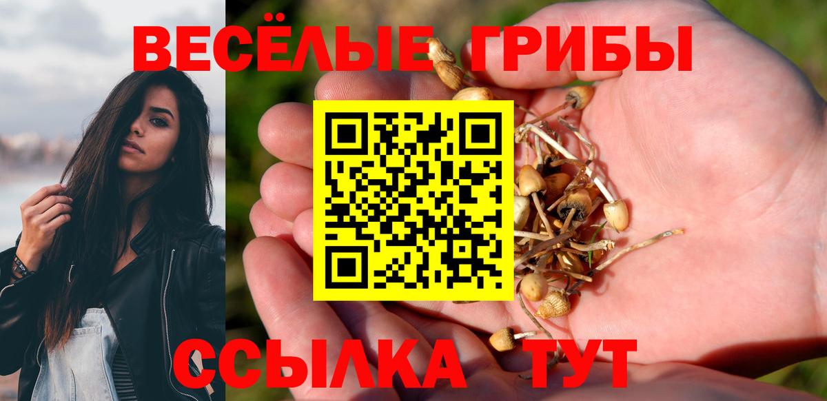 Псилоцибиновые грибы Psilocybine cubensis Малоярославец